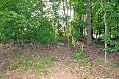 95 Mccabe Street, Greater Napanee, On K7r 3c8