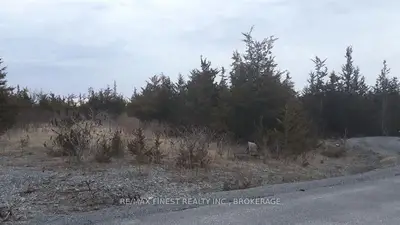 0 Mckeown Road, Stone Mills, On K0k 1j0