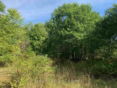 00 Hartsgravel Road, Rideau Lakes, On K0g 1e0