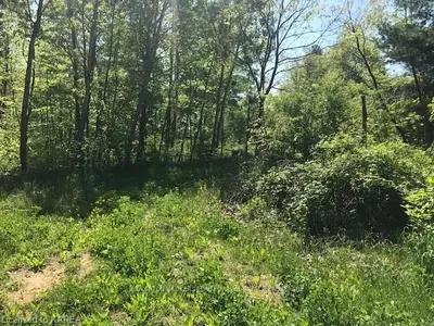 127 Old River Road, Leeds And The Thousand Islands, On K0e 1r0