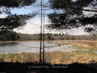 0 Davis Lock Road, Rideau Lakes, On K0g 1e0