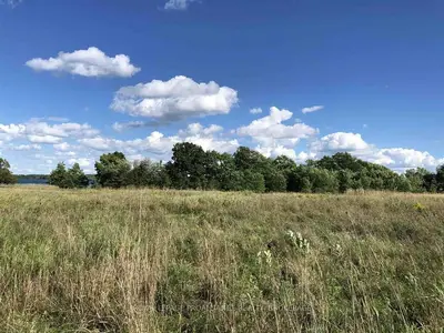 55 Wyona Lane, Frontenac Islands, ON, K0H 2Y0