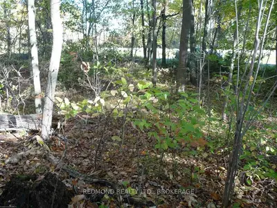 0 Old River Road, Leeds and the Thousand Islands, ON, K0E 1V0