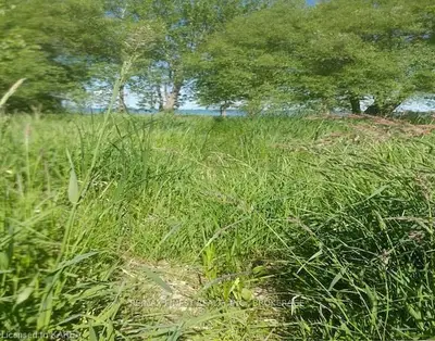 Vacant Lot Easy Lane, Frontenac Islands, On, K0h 2y0