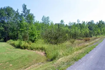 0 County Road 25, Greater Napanee, On, K0h 2s0