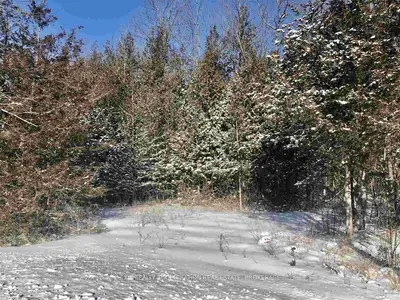 0 County Road 11, Greater Napanee, On, K7r 3l2