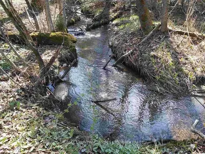 Slate Falls Road, Addington Highlands, On K0h 1l0