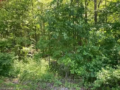 0 MALLENS Road, Rideau Lakes, ON K0G 1E0