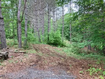 103 Scott Lane, Rideau Lakes, On K0g 1n0