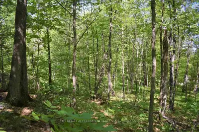 0 POPLAR Way, Greater Madawaska, ON K0J 1H0
