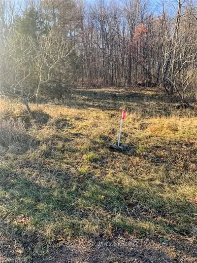 2092 BLUE MOUNTAIN Road, Leeds and the Thousand Islands, ON K0E 1L0