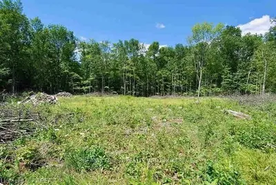 377 Holden Road, Stone Mills, On K0k 2w0