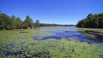 402 Massassauga Road, Rideau Lakes, On K0g 1x0