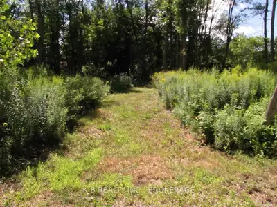 27 Davis Lock Road, Rideau Lakes, On K0g 1e0