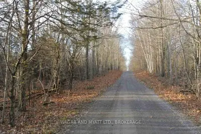 198 Barrett Road, Stone Mills, On K0k 1n0