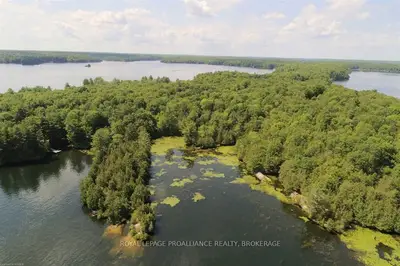 Walnut Island, Rideau Lakes, On, K0g 1e0
