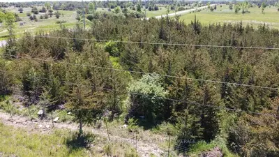Lot 1 Nugent Road, Stone Mills, On K0k 2s0