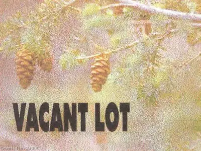 0 Bush Road, Rideau Lakes, On K0e 1g0
