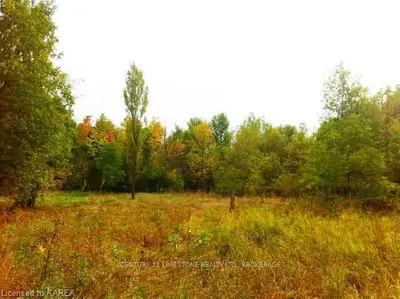0 CARLETON Street, Rideau Lakes, ON K0G 1P0
