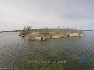 1 Goose Island, Leeds And The Thousand Islands, On, K0e 1r0