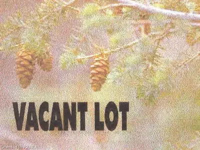 167 Long Point Road, Leeds And The Thousand Islands, On K0e 1n0
