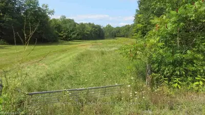 0 North Shore Road, Out Of Area, On K0h 1x0