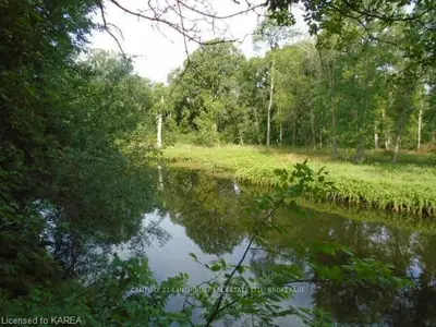 Near 1728 County Road 1, Stone Mills, On, K7r 3l2