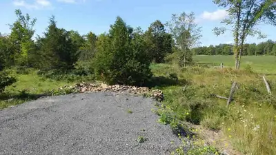 0 N County Road 4 Road, Stone Mills, On K0k 3n0