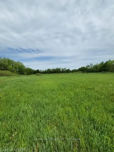 771 Ninth Concession Road, Stone Mills, On K0k 1z0