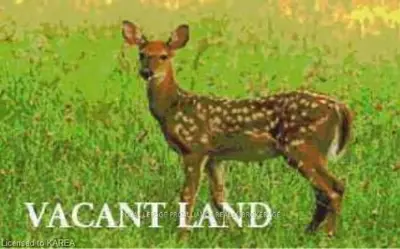 0 Sand Hill Road, Kingston, On K0h 1y0
