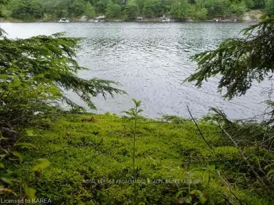 Lot 1 Kennebec Shores, Addington Highlands, On, K0h 1b0