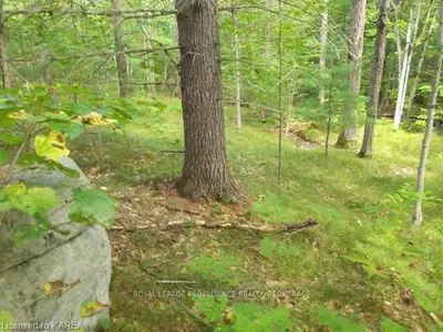 Lot 18 Kennebec Shores, Addington Highlands, On, K0h 1b0