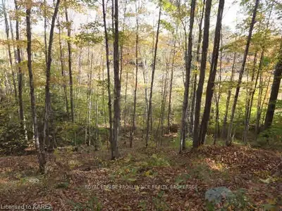 Lot 20 Kennebec Shores, Addington Highlands, On, K0h 1b0