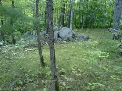 Lot 23 Kennebec Shores, Addington Highlands, On, K0h 1b0