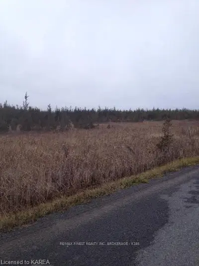 297 Roblin Road, Greater Napanee, On K0k 2w0