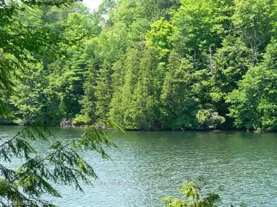 802 Willis Lane Lot 3, Leeds And The Thousand Islands, On K0h 2n0