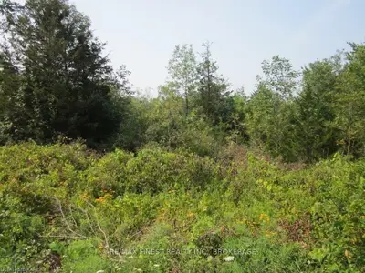 Lot 3 Colebrook Road, Stone Mills, On K0k 3n0