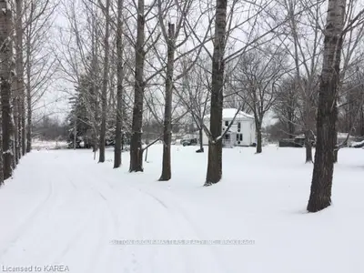 349 COWDY ROAD, Stone Mills, ON K0K 1Z0