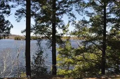 367 Neville Point Road, Stone Mills, On, K0k 2a0