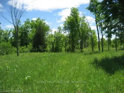 Lot 1 County Road 14, Stone Mills, On, K0k 1z0