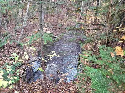 Highway 41, Addington Highlands, ON, K0H 1L0