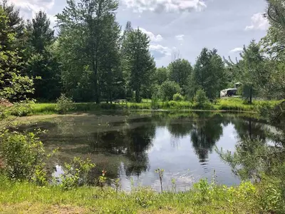 3342 FLINTON Road, Addington Highlands, ON K0H 1P0