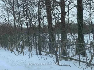 764 Lake Road, Stone Mills, On K0k 1j0