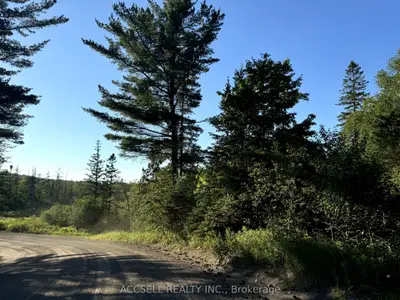 Vacant Land in Sault Ste Marie