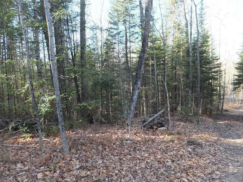 Pt Lt13 Con 9 Highway 503, Highlands East, On, K0l 2y0