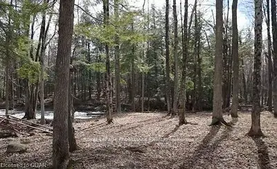 Vacant Land in Stirling-Rawdon