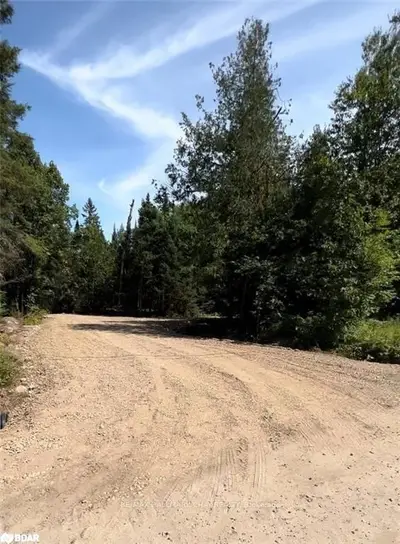 Vacant Land in Bonfield