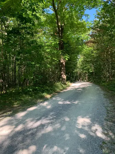 66 Fire Route 71, Trent Lakes, On, K0l 1z0