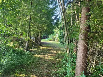 Vacant Land in Southgate