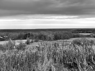 Vacant Land in Mulmur